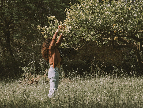 Tiny house maroc pour particulier
